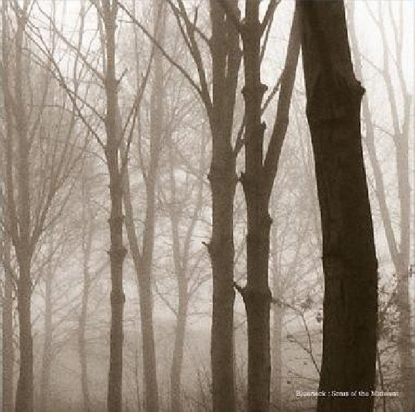 Blueneck - Scars of the midwest (LP) - Velvet Music