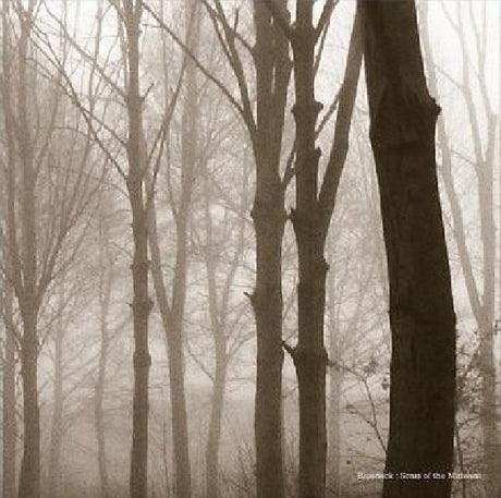 Blueneck - Scars of the midwest (LP) - Velvet Music