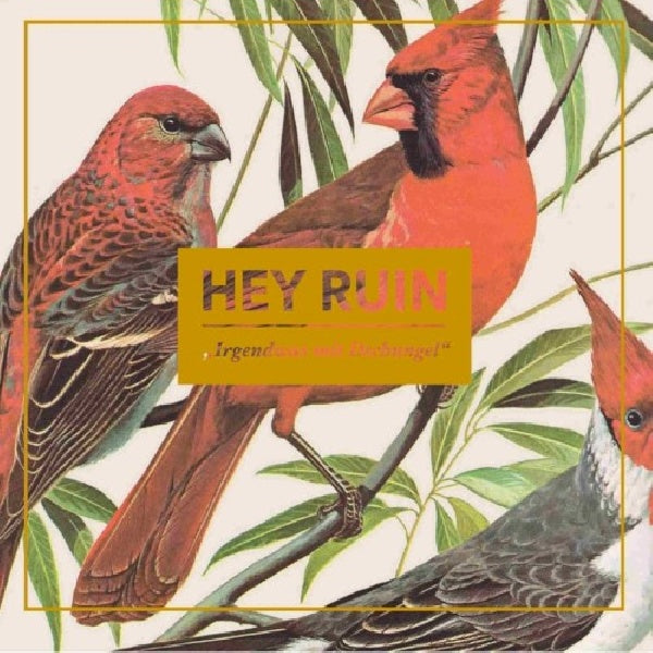 Hey Ruin - Irgendwas mit d schungel (CD) - Velvet Music