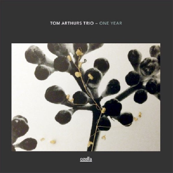 Tom Arthurs -trio- - One year (LP) - Velvet Music