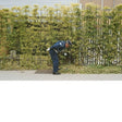 Gold Panda - Good luck and do your best (CD) - Velvet Music