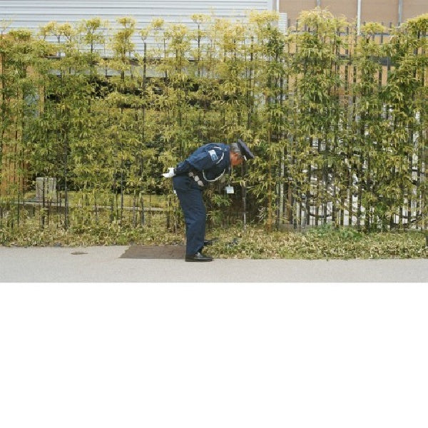 Gold Panda - Good luck and do your best (CD) - Velvet Music