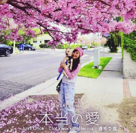 Mari Iijima - Hontou no ai (CD) - Velvet Music