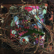OST (Original SoundTrack) - Bloodour (CD) - Velvet Music