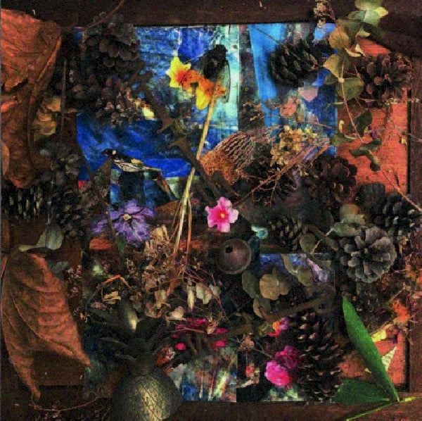 Merzbow - Coma test (CD) - Velvet Music