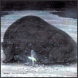 Anoice - Into the shadows (CD) - Velvet Music