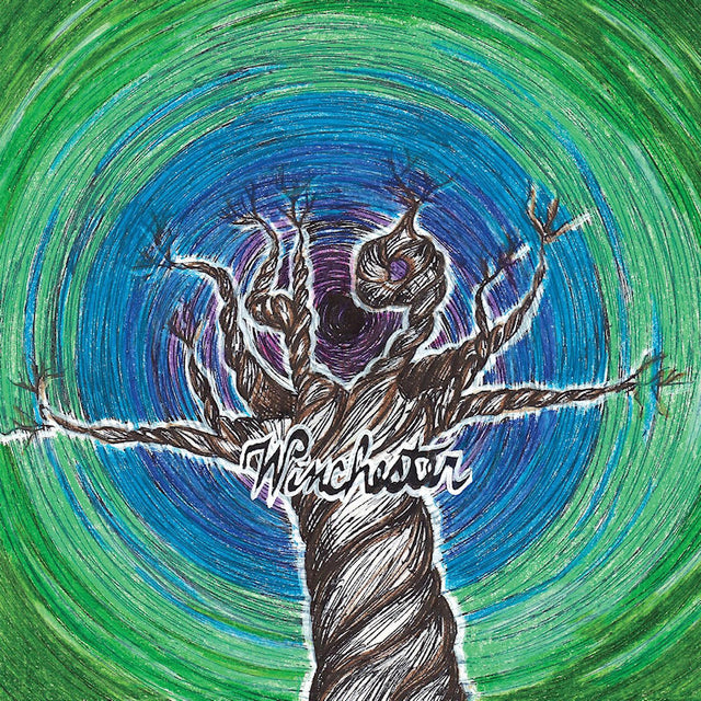 49 Winchester - 49 winchester (LP) - Velvet Music
