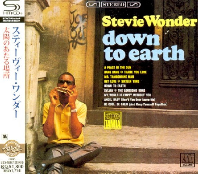 Stevie Wonder - Down to earth (CD)