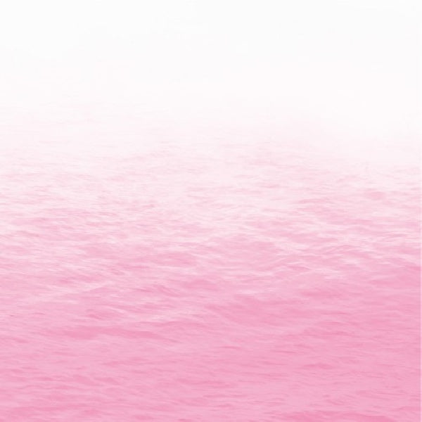 Ray - Pink (CD) - Velvet Music