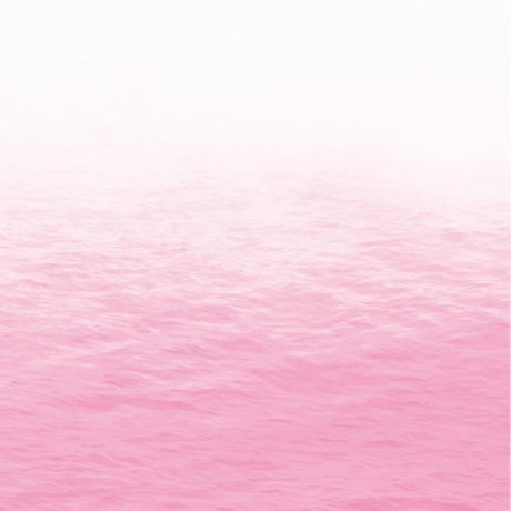 Ray - Pink (CD) - Velvet Music