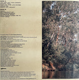 The Teskey Brothers - Run home slow (LP)