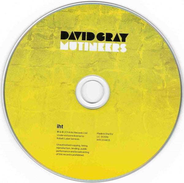David Gray - Mutineers (tweedehands CD) - Velvet Music