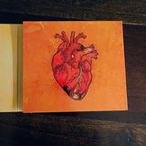 Beardfish - Songs For Beating Hearts (CD) - Velvet Music
