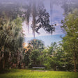 Fifty Foot Wave - Black pearl (CD) - Velvet Music
