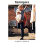 Flamingoes - Plastic jewels (CD) - Velvet Music