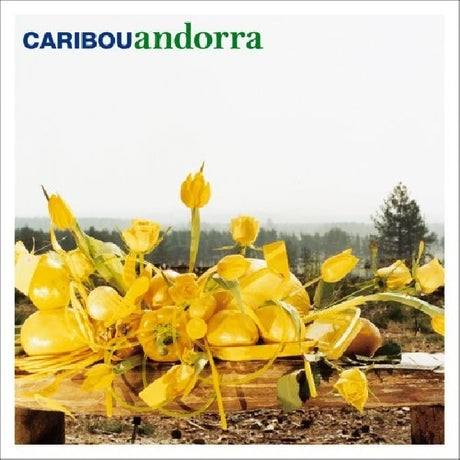 Caribou - Andorra (LP) - Velvet Music