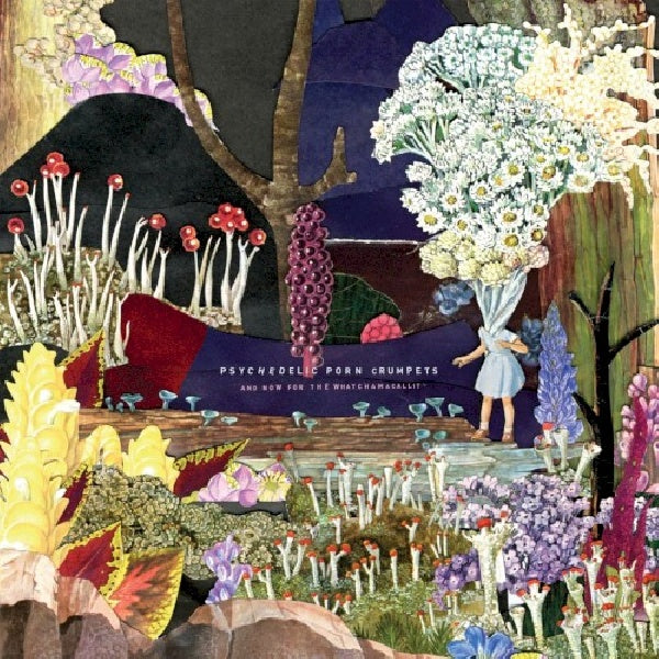 Psychedelic Porn Crumpets - And now for the whatchamacallit (CD) - Velvet Music