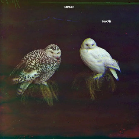 Dungen - Haxan (CD) - Velvet Music