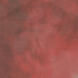 Speaker Music - Of desire, longing (LP) - Velvet Music