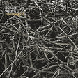 Richard Warren - Disentangled (LP) - Velvet Music