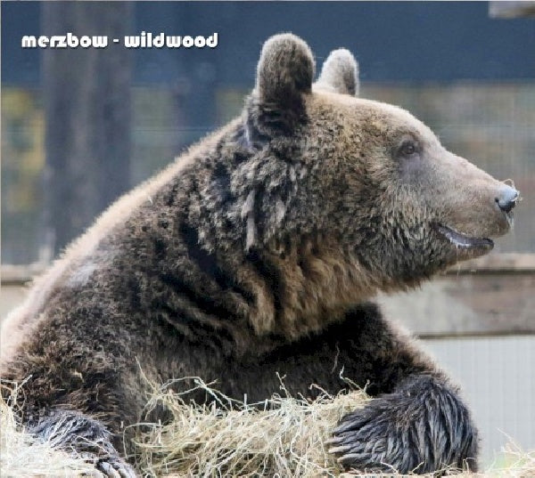 Merzbow - Wildwood (CD) - Velvet Music