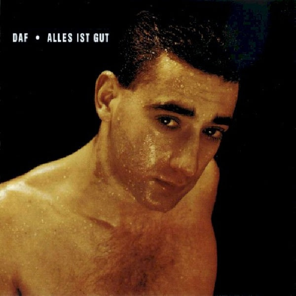 Daf - Alles ist gut (CD) - Velvet Music