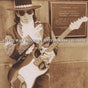 Stevie Ray Vaughan & Double T - Live at carnegie hall (CD) - Velvet Music
