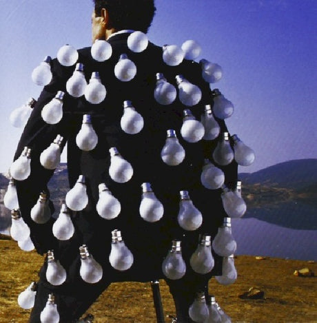 Pink Floyd - Delicate sound of thunder (CD)