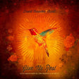 David Crowder - Give us the rest (CD) - Velvet Music