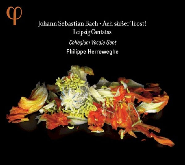 Johann Sebastian Bach - Ach süsser Trost (CD)