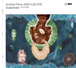 Antoine Pierre /urbex Electric - Suspended (live at flagey) (CD) - Velvet Music