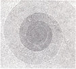 Kiss The Anus Of A Black Cat - Nebulous of dreams (CD) - Velvet Music