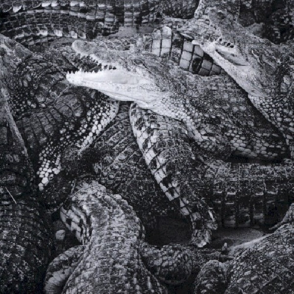 Emilie Levienaise-farrouch - Like water through the sand (CD)