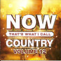 V/A (Various Artists) - Now that's what i call country vol.12 (CD) - Velvet Music
