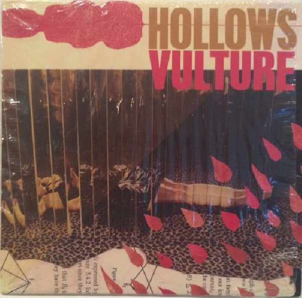 Hollows - Vulture (CD) - Velvet Music