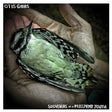 Otis Gibbs - Souvenirs of a misspent youth (CD) - Velvet Music