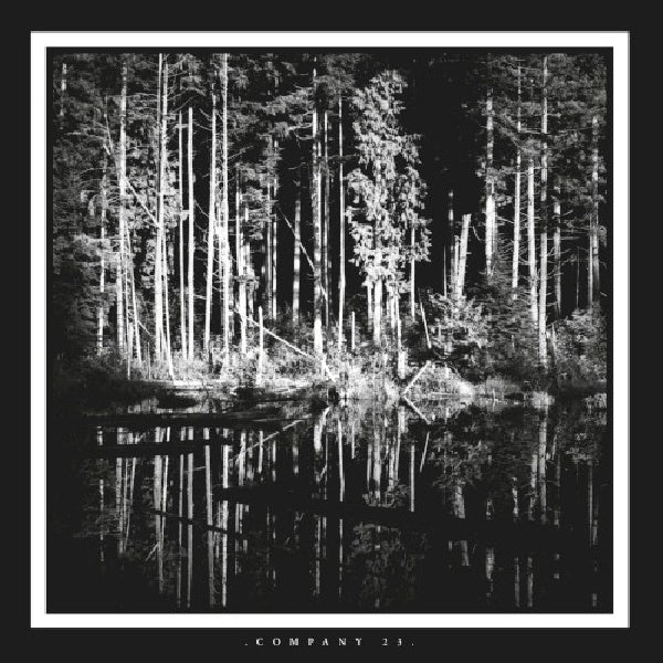 Matt Chamberlain &amp; Brian Haas – Company 23 (12-inch maxi single)