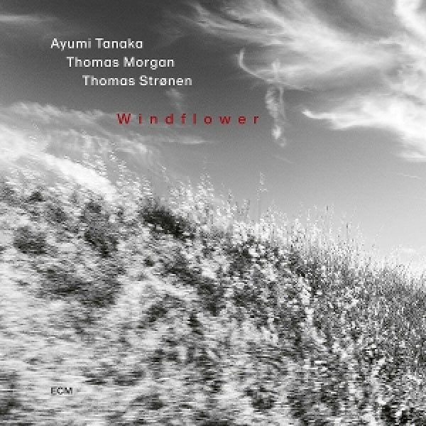 Ayumi Tanaka - Windflower (CD)
