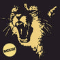 Ratatat - Classics (LP) - Velvet Music