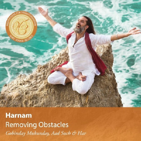 Harnam - Removing obstacles (CD) - Velvet Music