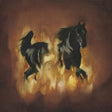 Besnard Lakes - Are the dark horse (LP) - Velvet Music