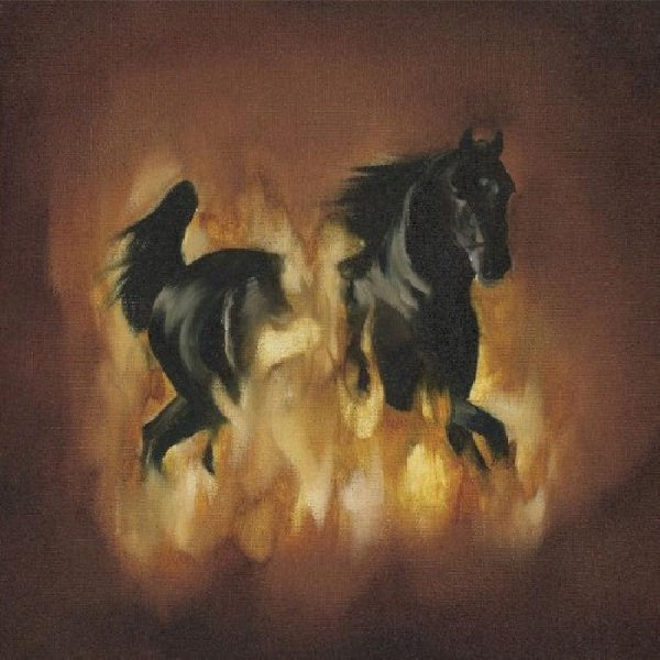 Besnard Lakes - Are the dark horse (LP) - Velvet Music