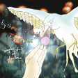 By The End Of Tonight/ter - Complex of phantoms (CD) - Velvet Music