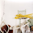 Shapes And Sizes - Split lips, winning hips, (CD) - Velvet Music