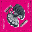 Mexican Institute Of Sound - Compass (CD) - Velvet Music