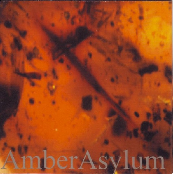 Amber Asylum - Frozen in amber (CD) - Velvet Music