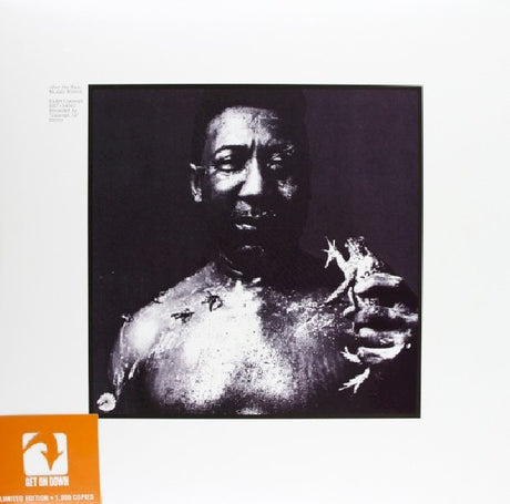 Muddy Waters - After the rain (LP) - Velvet Music