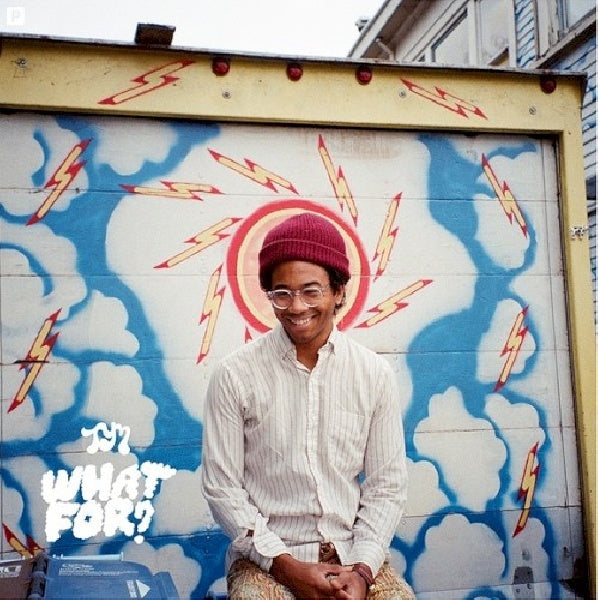 Toro Y Moi - What for (LP)