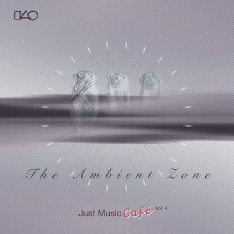 V/A (Various Artists) - Ambient zone (CD) - Velvet Music