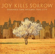 Joy Kills Sorrow - Darkness sure becomes this city (CD) - Velvet Music